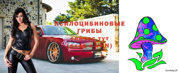эйфоретик Аркадак