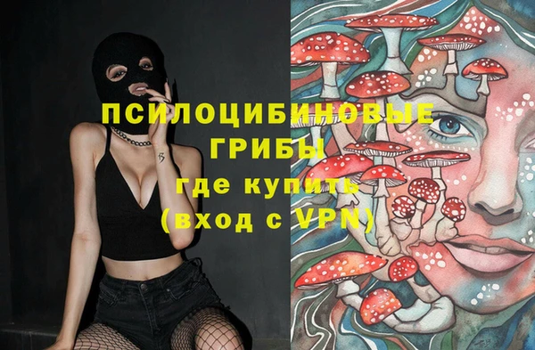 дмт Арсеньев